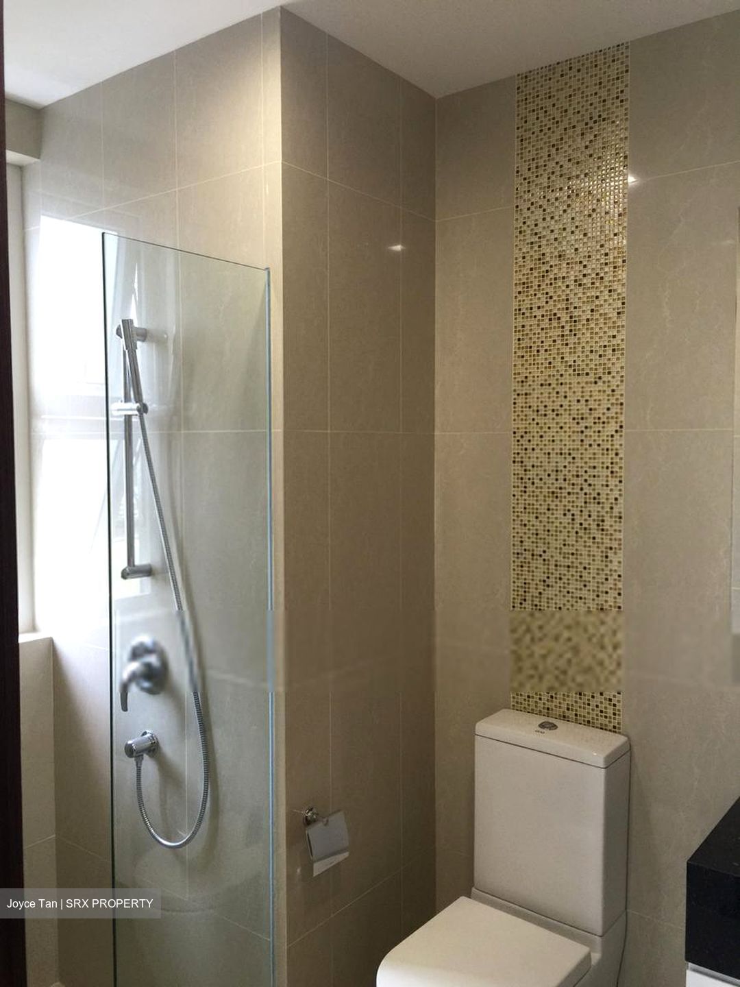 8 Bassein (D11), Apartment #603924501